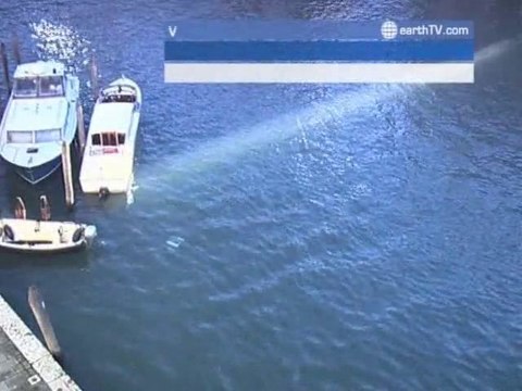 Munich - Germany, Agadir - Morocco, Geneva - Switzerland, Seattle - USA, Metz - France, Venice - Italy, Muscat - Oman