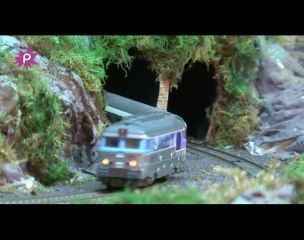 Héric : Michel Génois, la passion du train miniature!