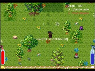 Slayers Online [MMORPG TEST HD]