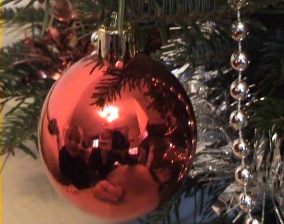 A la découverte du sapin de Noel 2010