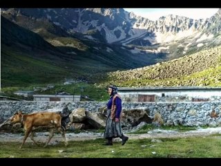 Hayde gidelum hayde amlakite kavruna www.kavrun.tr.gg