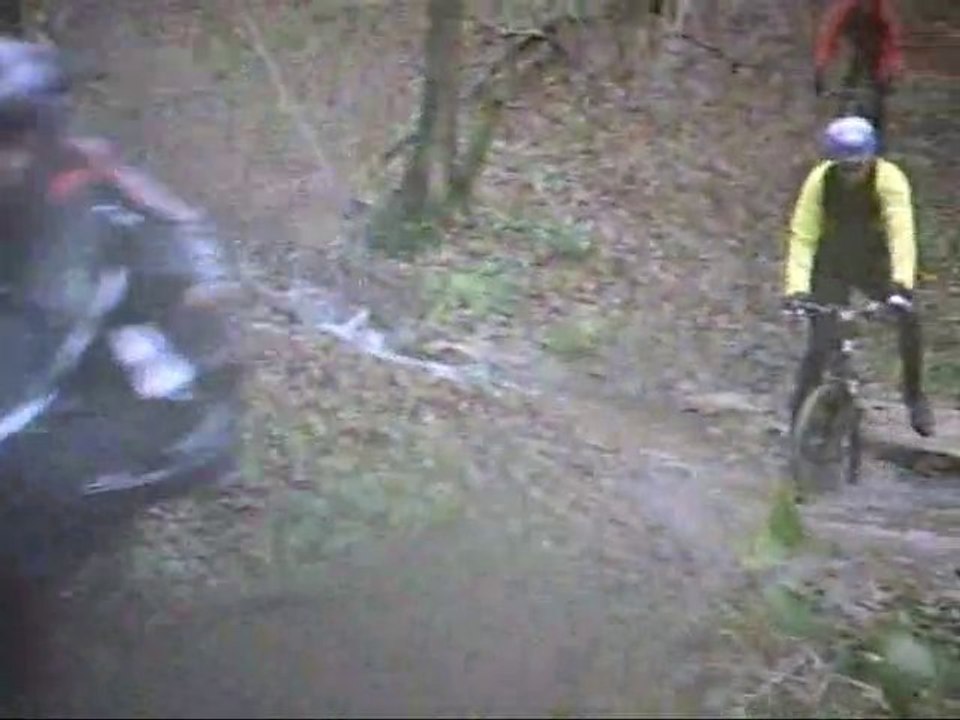 descente vers le ruisseau de chatenois