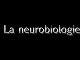 Les cours c'est bien quand c'est court - La neurobiologie