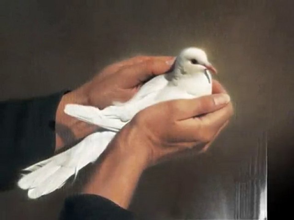 BARIŞ...www.ozgurlukatesi.net