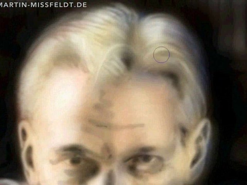 Julian Assange (Wikileaks) - digital painted portrait by Mis
