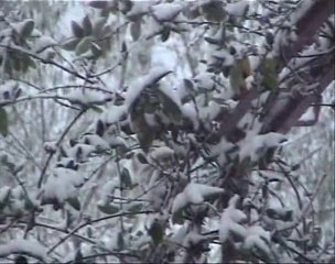 Yılın İlk Karı Burdur ve Bucak'a Düştü
