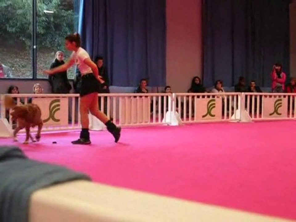 OBRbrbeaujoire2010