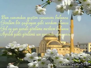 Benim Baharım Sensin Sevgili