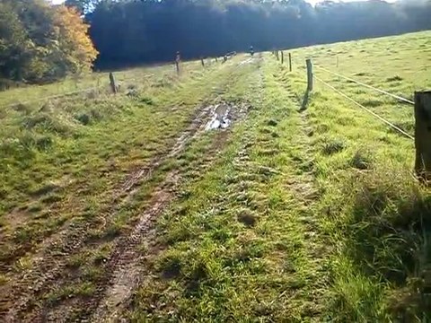 85 kx sa c'est du cross poto!!!