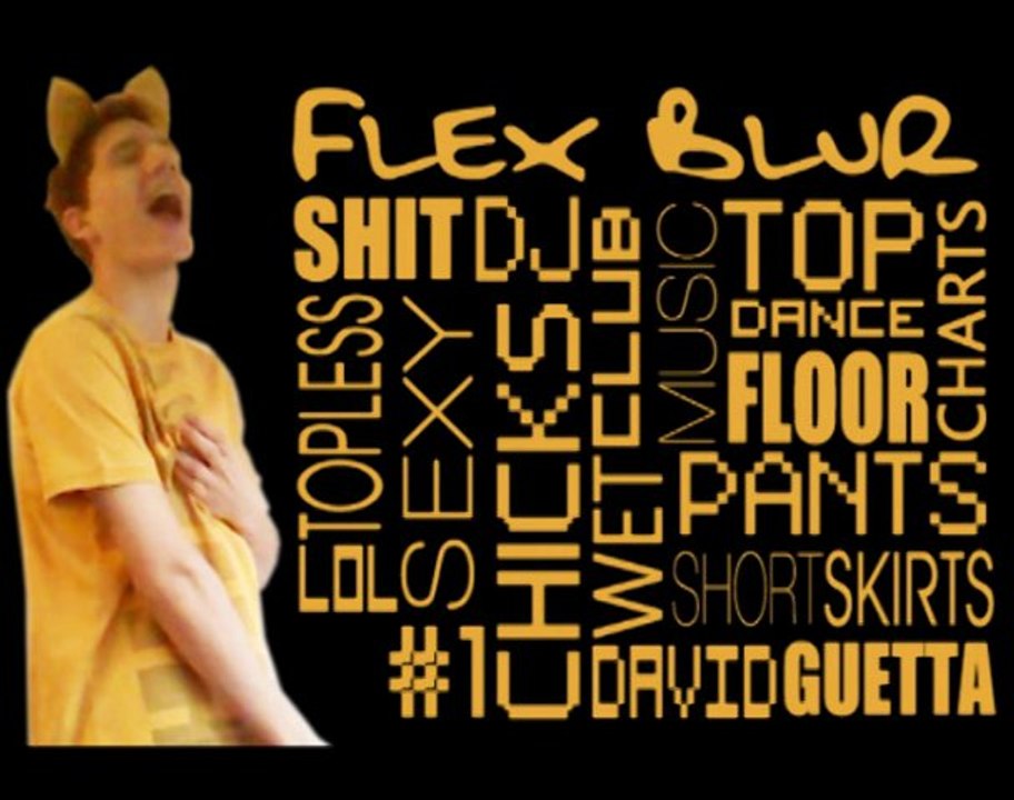 SHIT DJ Club Music [...] Dancefloor Sexy Chicks David Guetta