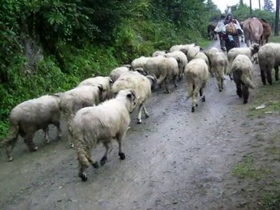 DERİNÇAY KÖYÜ