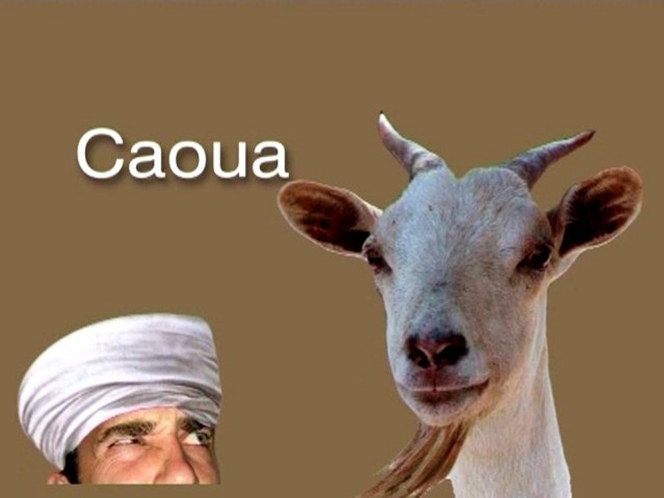 Caoua