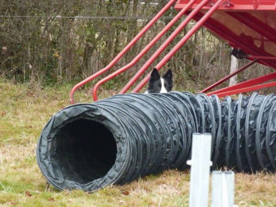 Un dimanche chez Belette et Pouille_0001