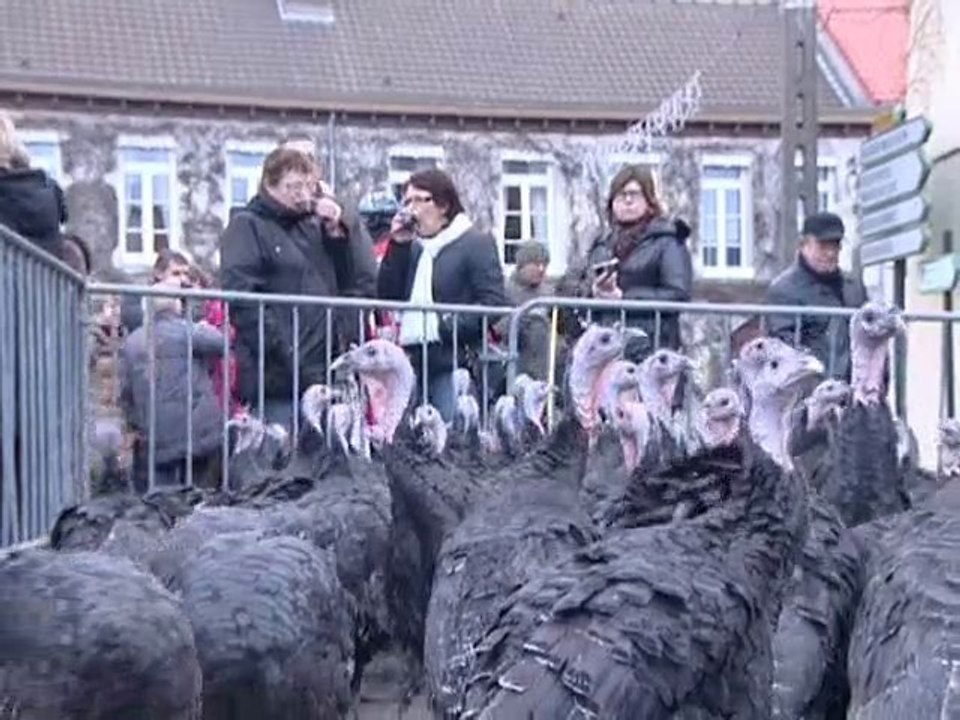 Calaisis TV Nouvelle édition de la fête de la dinde