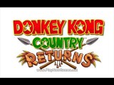 Donkey Kong Country Returns pc download free full game