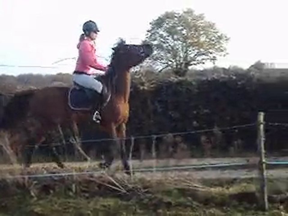 Rikalia &&` Moi En saut