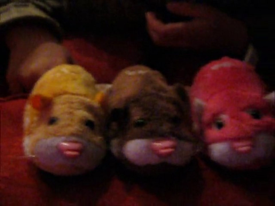 les zhu zhu pets