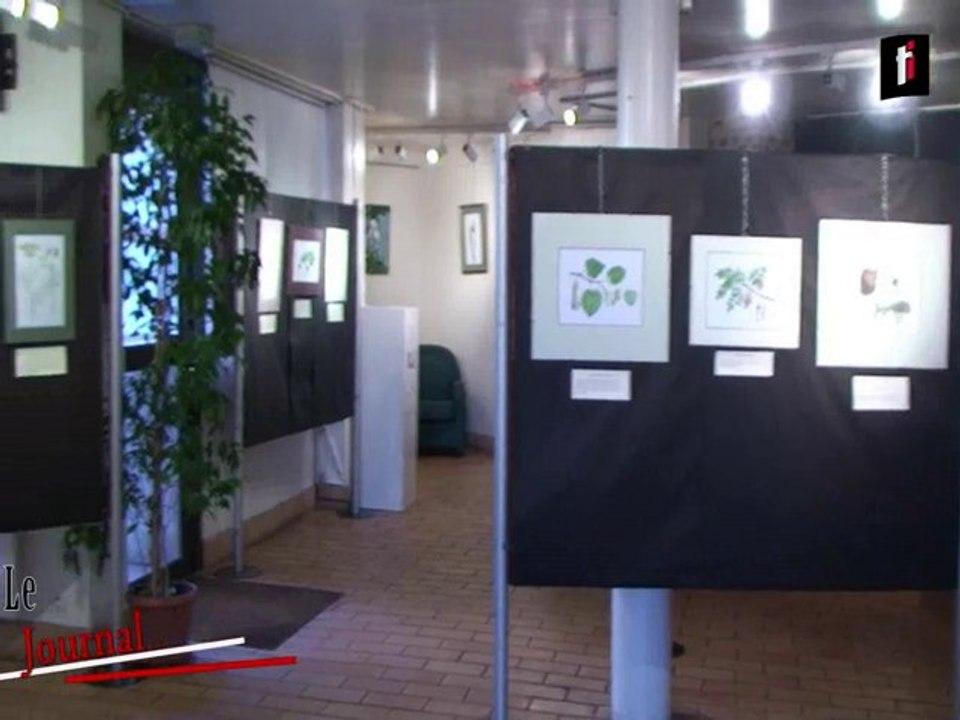 Exposition sur les plantes médicinales et à parfum