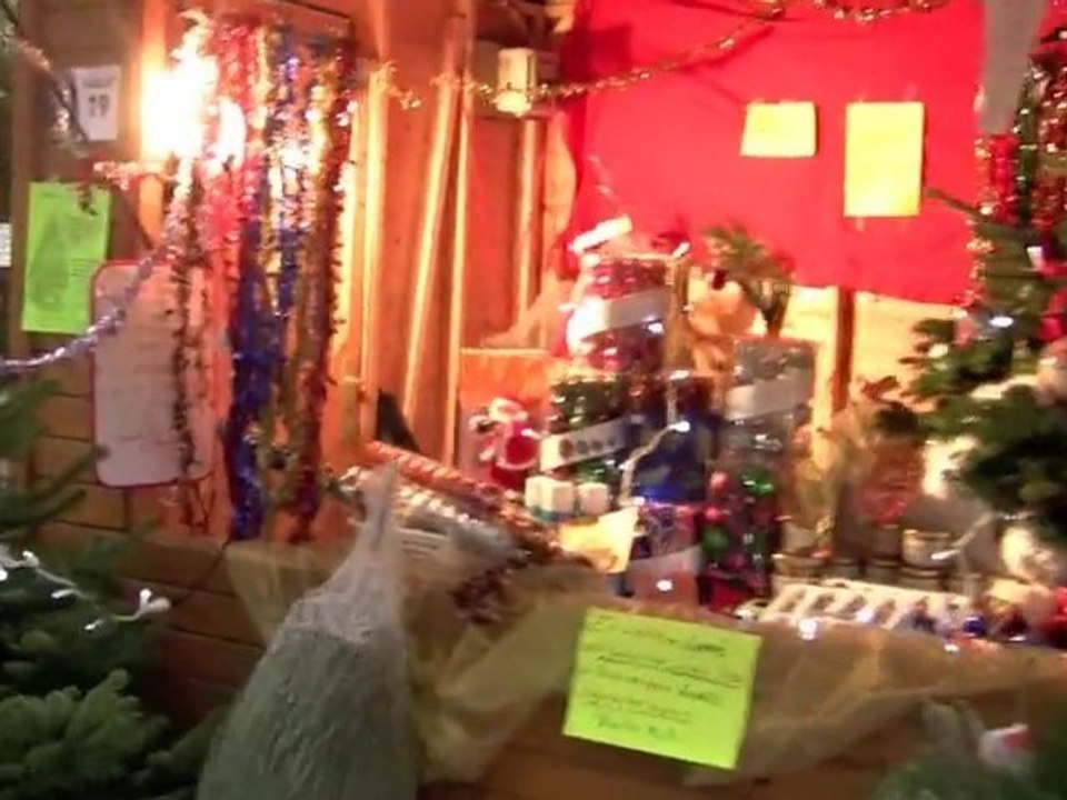 Beauvais, Féeries de Noël 2010 (façon générique de film)