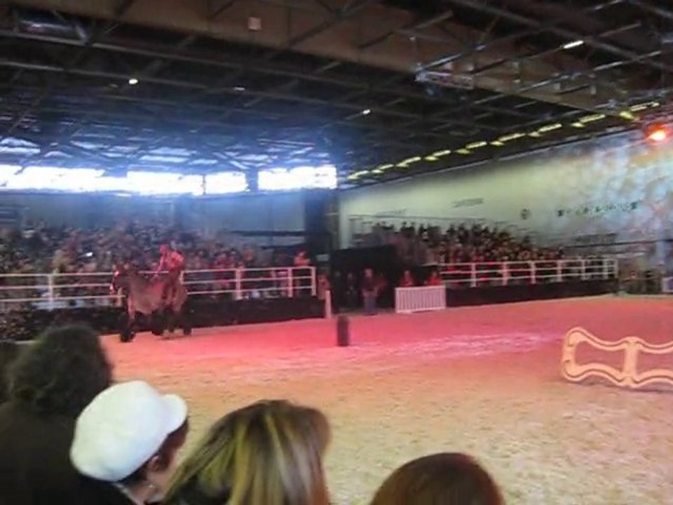 10.12.2010.salon du cheval 2010