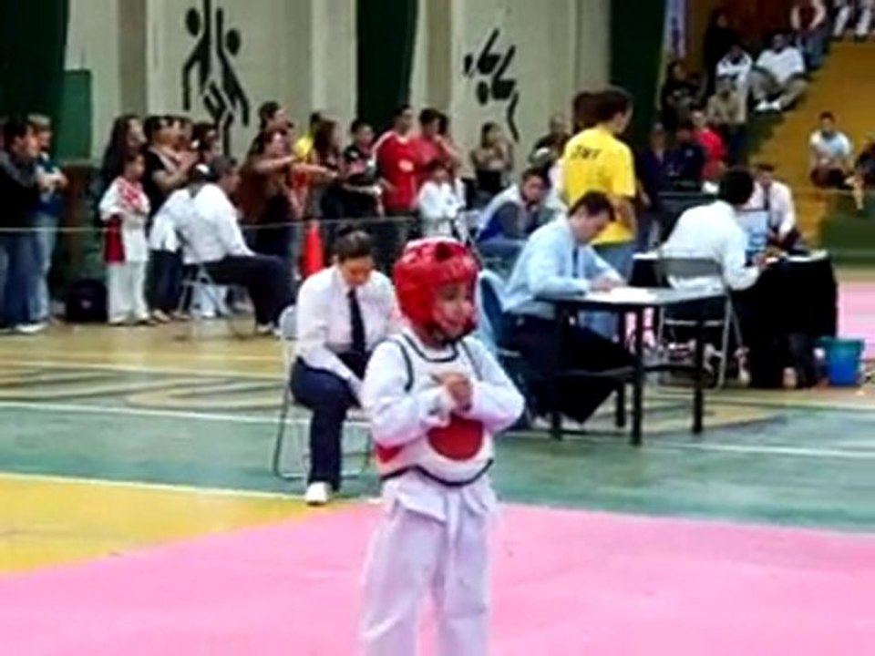 Combate de Ricardo