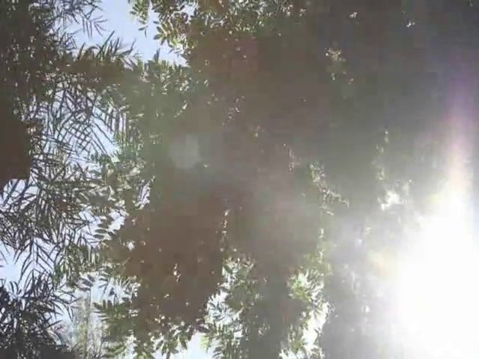 AUTOMNE TIMELAPSE