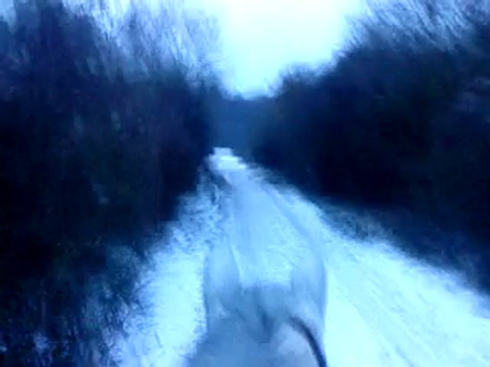 ballade ds la neige decembre 2010