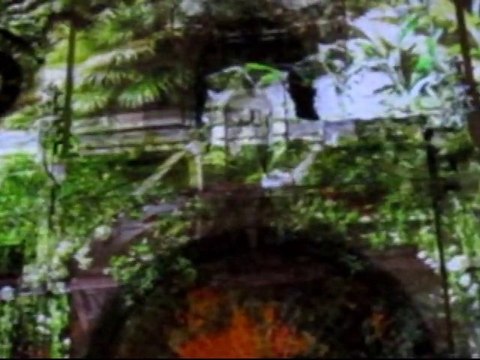 Lyon fête ses lumières en Décembre 2010