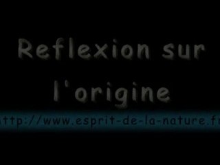 Grossesse naissance évolution et mémoire