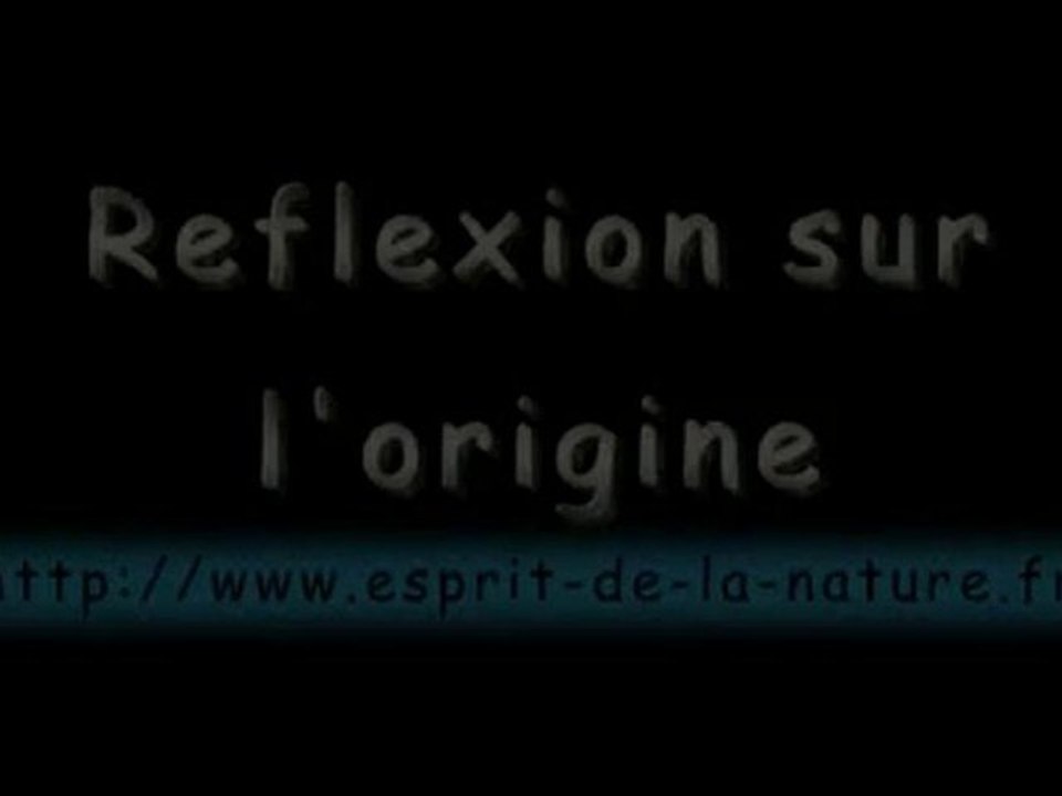 Grossesse naissance évolution et mémoire