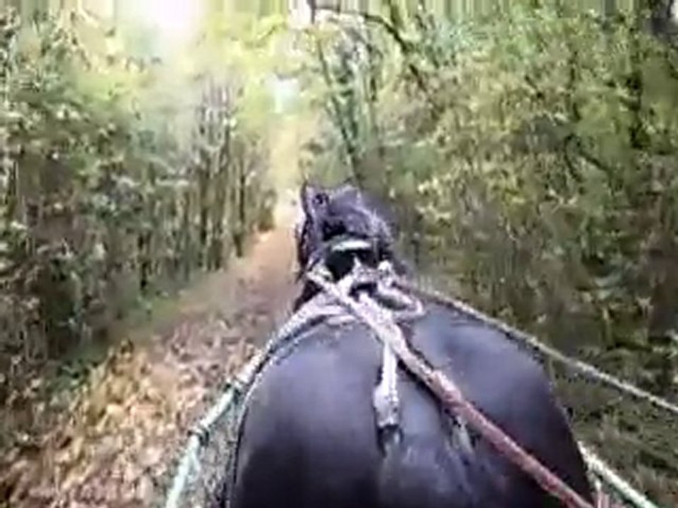 2010-11-07 - Rallye Moutiers sur le Lay - Razzia