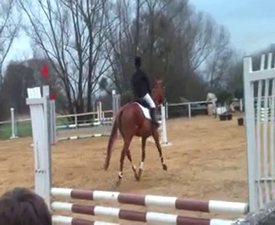 Starouille & moi Concours officiel ♥