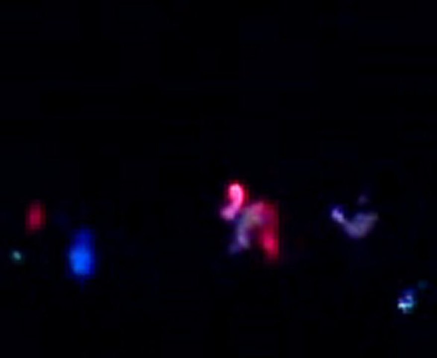 12.12.10 KoNYa-Sagopa TerK-i DiYar