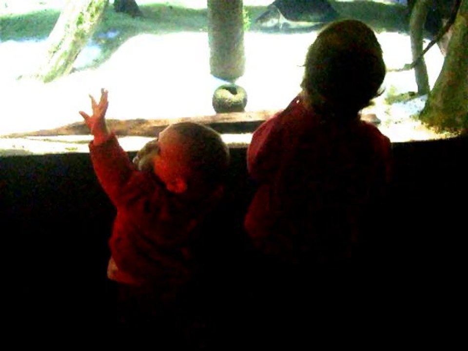 aquarium