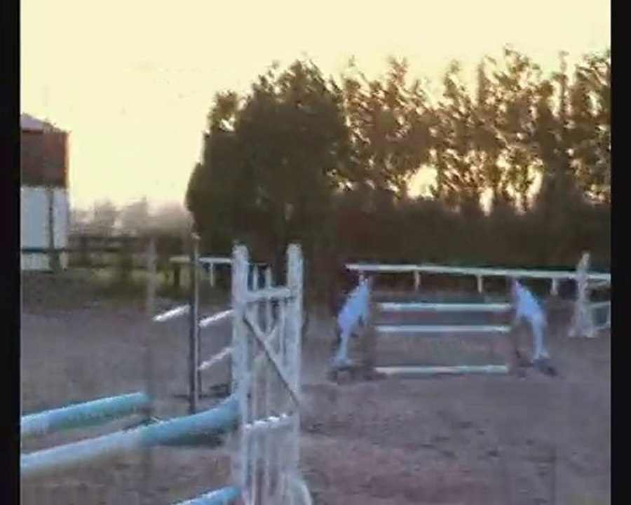 alex et l'ascar CSO entrainement - 12 décembre 2010