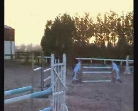 alex et l'ascar CSO entrainement - 12 décembre 2010