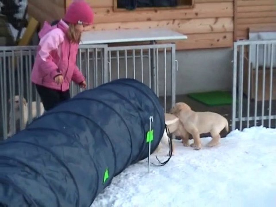 Kaly - Portée B - 02.12.2010