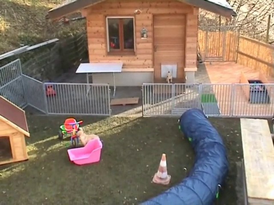 Kaly - Portée B - 11.12.2010_2