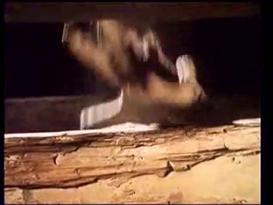 Geschichten aus der Schattenwelt