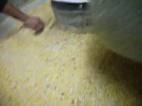 Dinkte korkot yapımı-Dernekpazarı-dernekpazarim.com