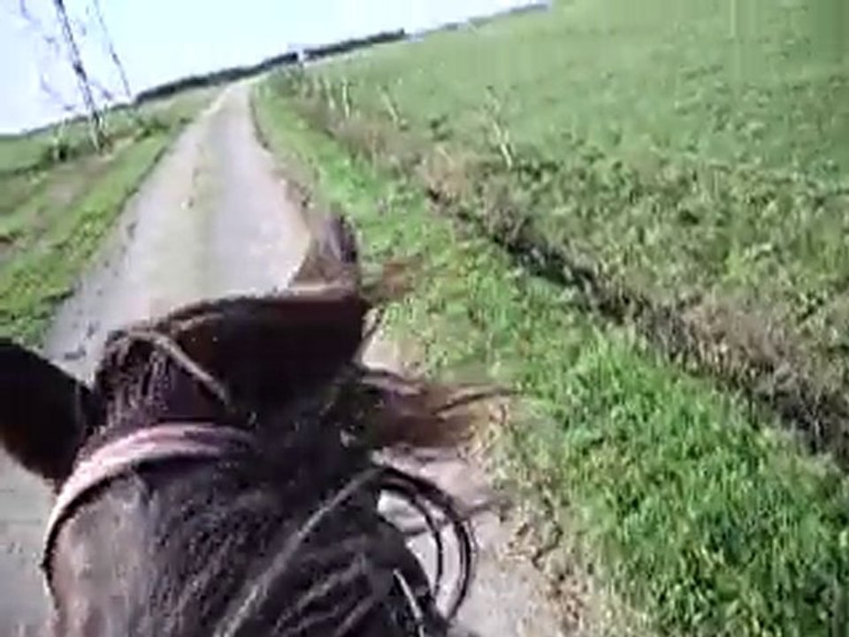 Ptit galop avec Dauphin (01) - 08/10/2010