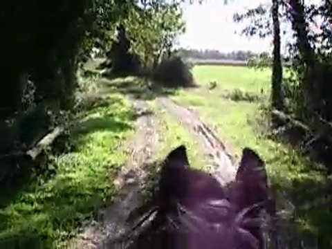 Ptit galop avec Dauphin (02) - 08/10/2010