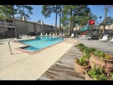 Woods of Inverness Apartments - Houston, TX