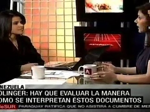 Necesario interpretar información de Wikileaks: investigadora