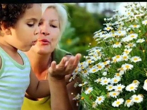 San Jose Landscaping | Landscaping Contractors