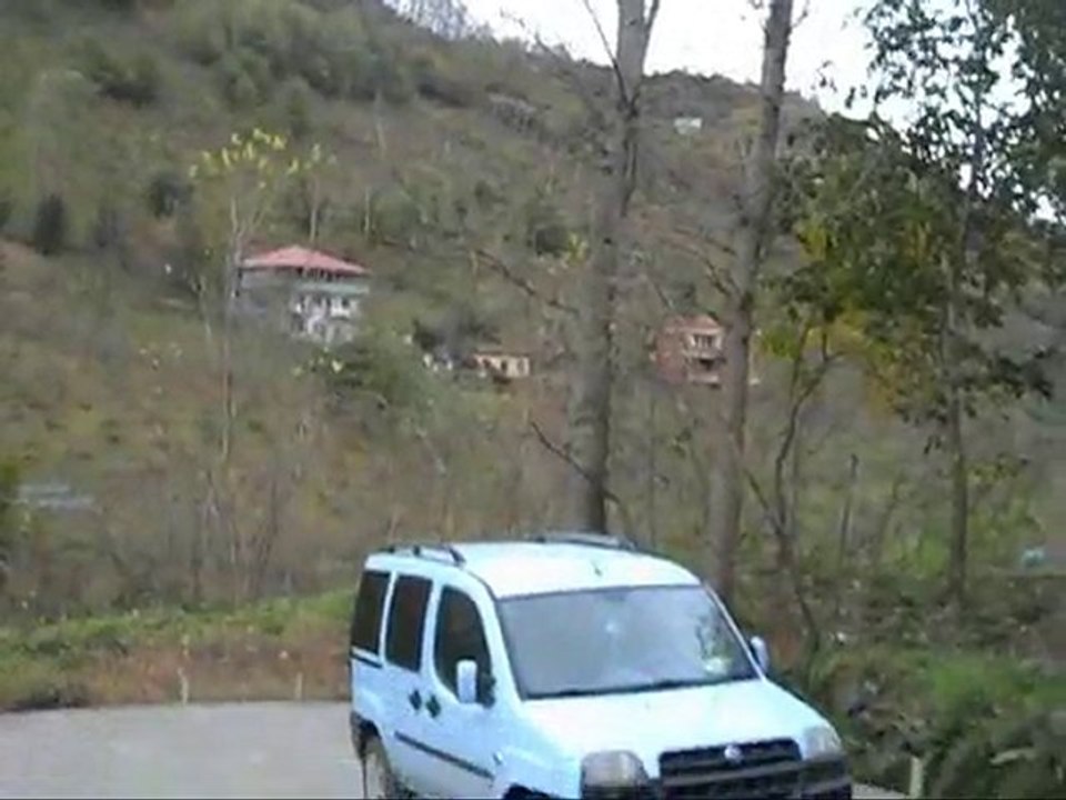 YOL