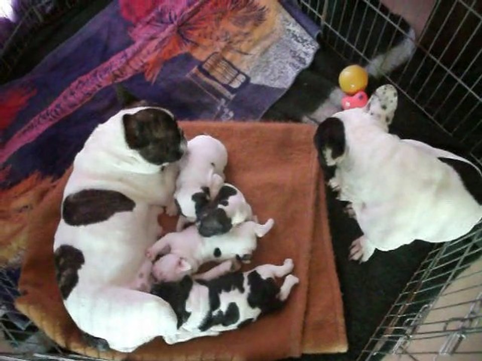 La famille