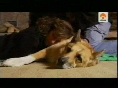 Mascotas: Neuronas espejo