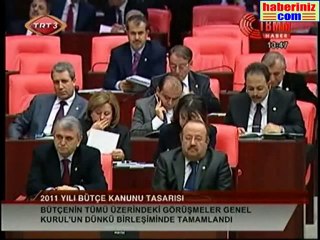Bahçeli'nin 2011 Yılı Bütçesi Konuşması, 13/12/2010
