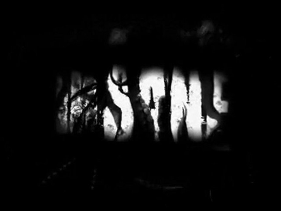 InSane - Teaser VGA 2010